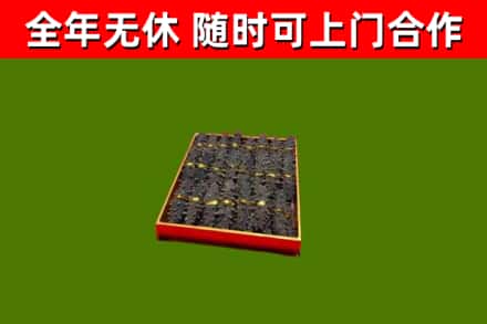 通许回收海参